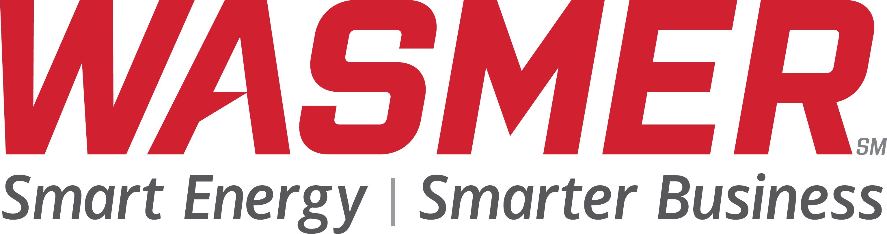 Wasmer-Logo-PNG-1